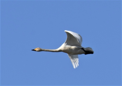 Фото: Ринур Бекмансуров