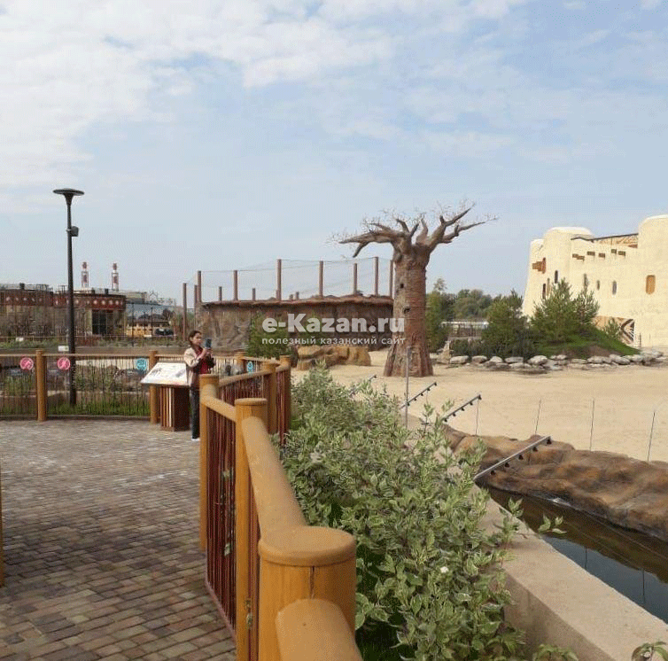 Фото: e-Kazan.ru