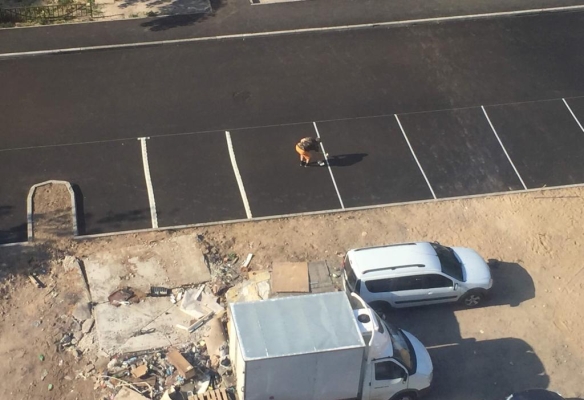 Фото: uslugi.tatarstan.ru