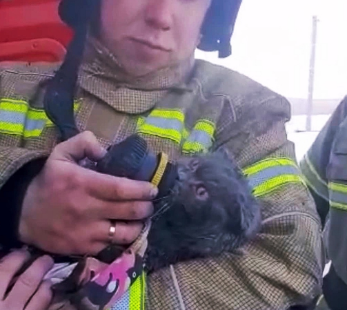 Фото: МЧС РТ