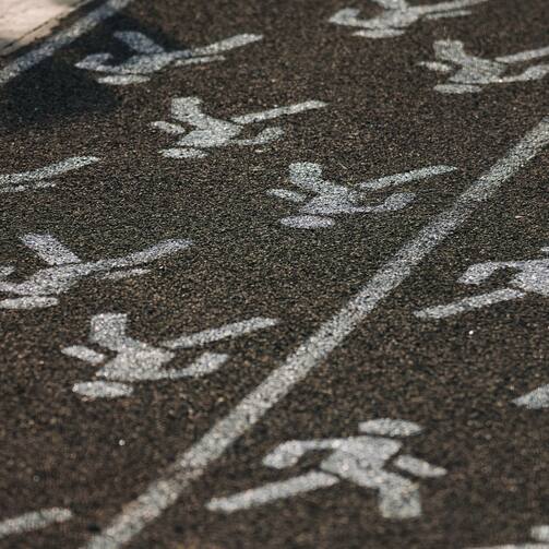 Фото: телеграм-канал дирекции парков