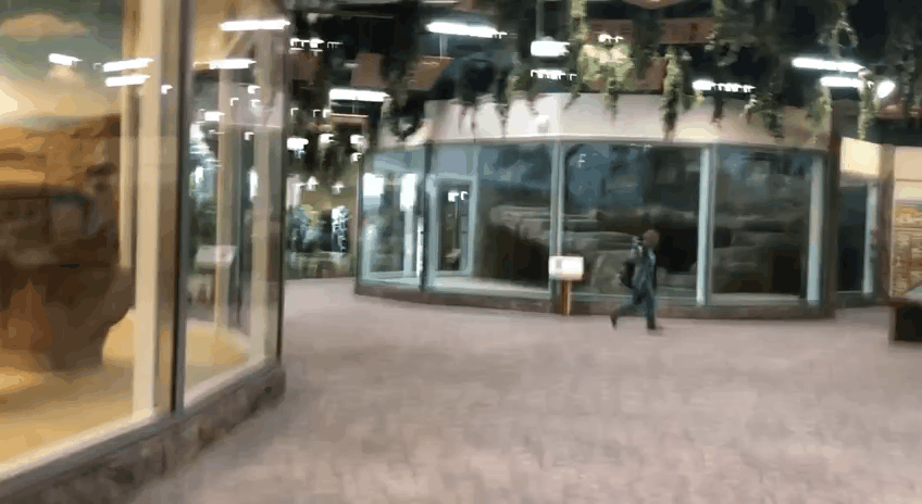 Каждый из этих вольеров пуст. GIF: e-Kazan.ru