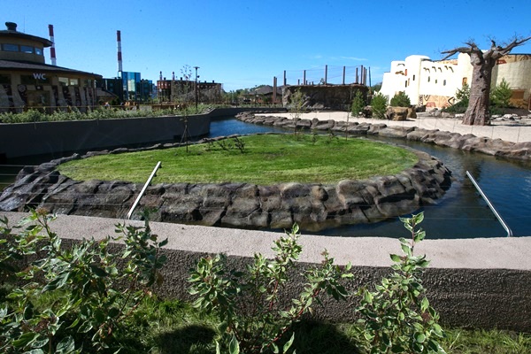 Фото: Марат Мугинов/kzn.ru