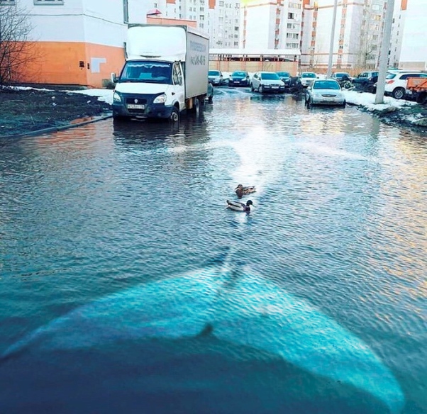 Фото: Oldknow/pikabu.ru