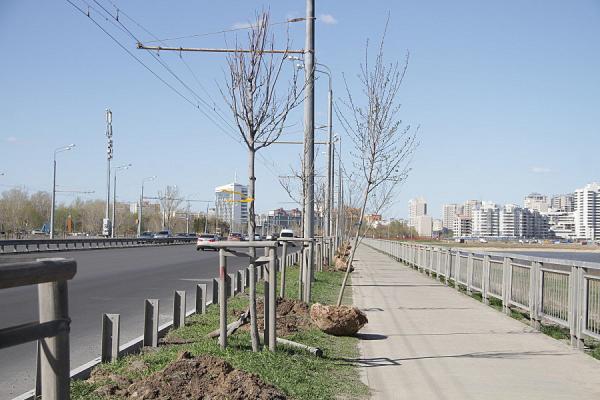 Ленинскую дамбу озеленяют. Фото: evening-kazan.ru