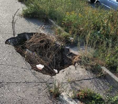 Фото: uslugi.tatarstan.ru