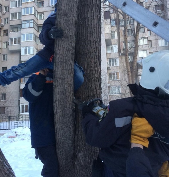 Фото: mchs.tatarstan/vk.com