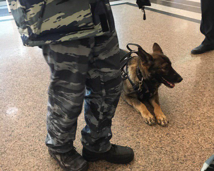 Фото: e-Kazan.ru