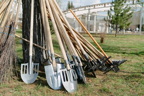 Фото: Валера Копылов/parkikazani/vk.com