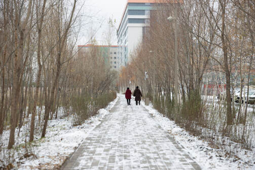 Все фото: Марат Мугинов/kzn.ru