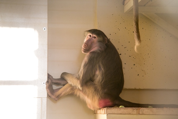 Фото: Марат Мугинов/kzn.ru