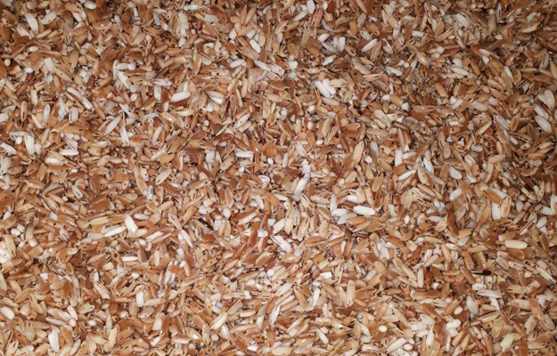 Фото: e-Kazan.ru