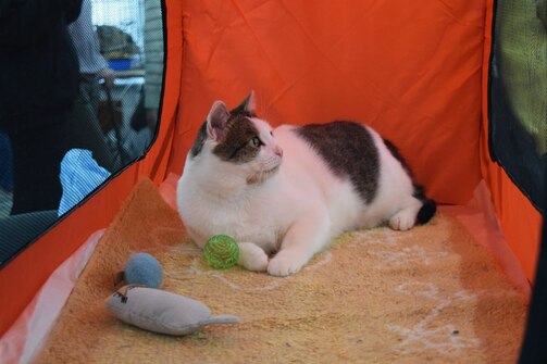 Фото: doroga_domoi/vk.com