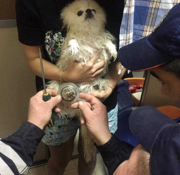 Фото: пресс-служба МЧС РТ