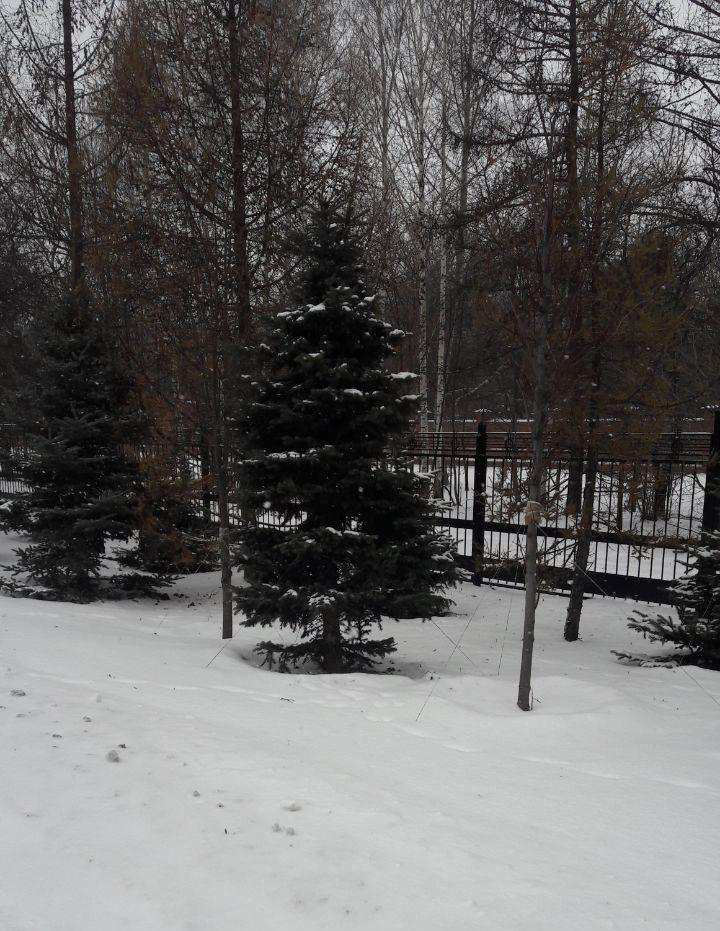 Фото: e-Kazan.ru