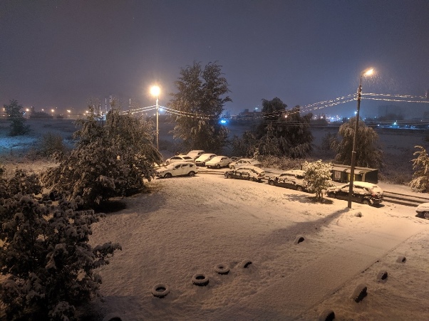 Фото: соцсети