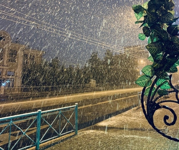 Фото: соцсети