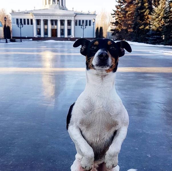 Фото: katok_vdnh_kzn/instagram.com