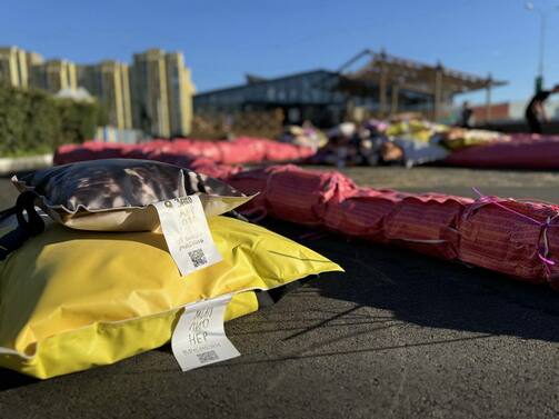 Все фото: «Замороженная конина»