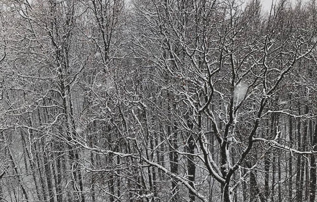 Фото: e-Kazan.ru