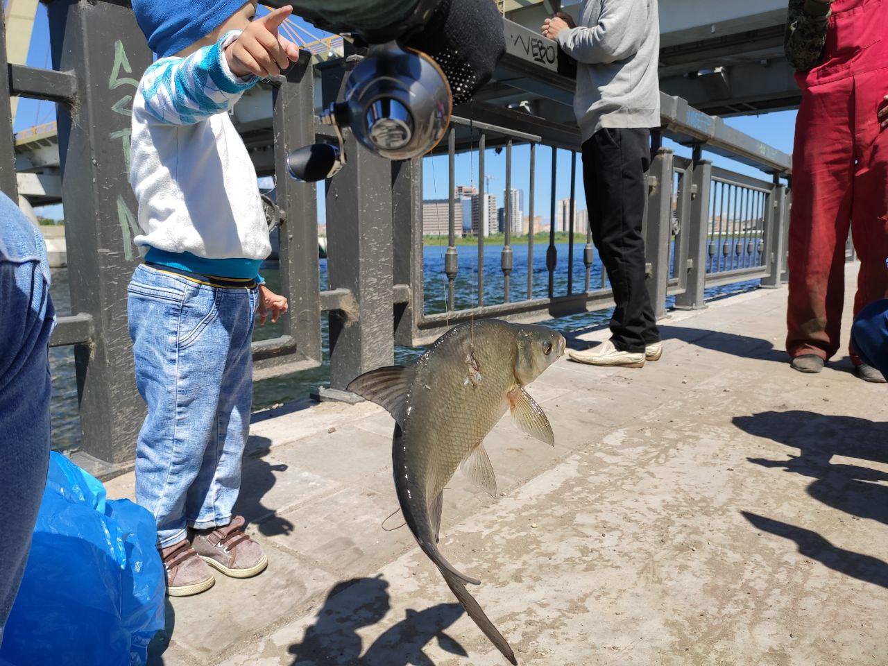 Фото: e-Kazan.ru  