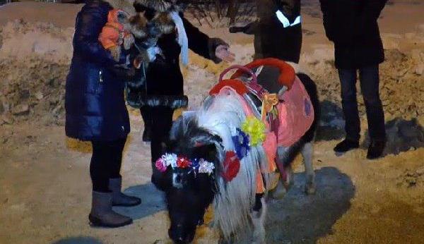 Фото: соцсети