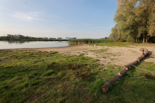 Фото: Марат Мугинов/kzn.ru