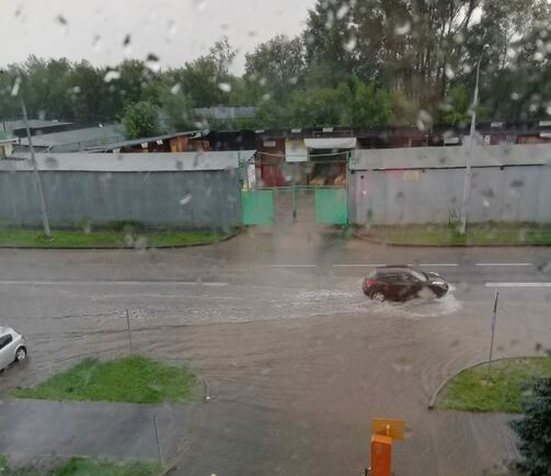 Фото: Людмила Моисеева/vk.com