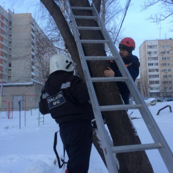 Фото: mchs.tatarstan/vk.com