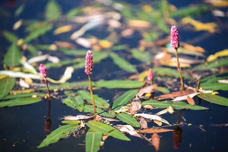 Фото: nataliafishmanbekmambetova/instagram.com