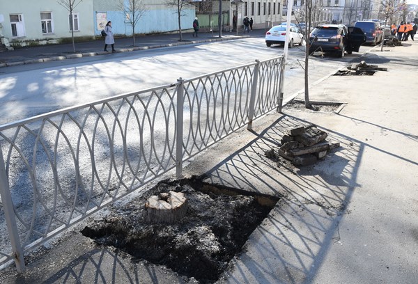 Фото: Денис Гордийко/kzn.ru