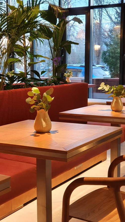 Фото: Begin cafe