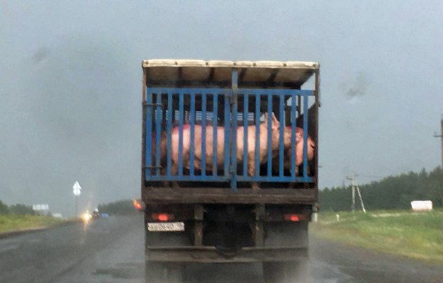 Фото: e-Kazan.ru