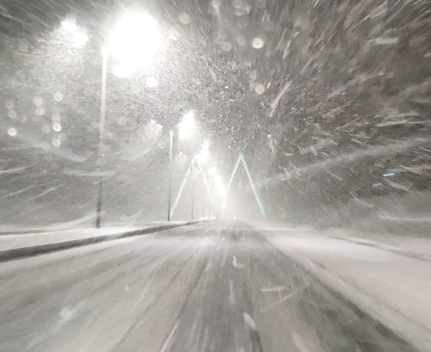 Фото: denshish/instagram.com