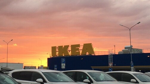 Фото: Широков Роман/yandex.ru