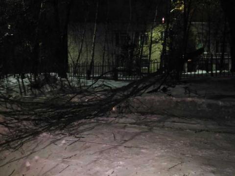 Фото: uslugi.tatarstan.ru