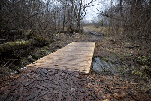 Фото: Марат Мугинов/kzn.ru