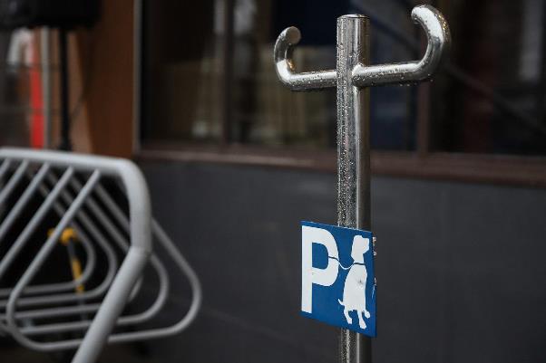 Фото: телеграм-канал «Про Магнит»