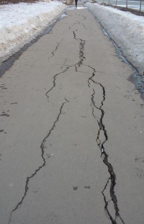 Фото: kazan_news/vk.com