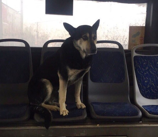 Фото: соцсети