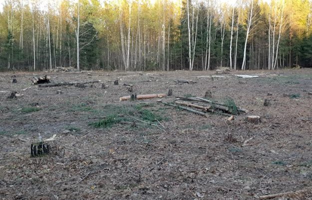 Фото: facebook.com/ruroom