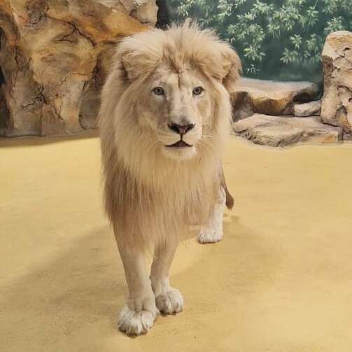 Фото: kazanzoo1806/instagram.com