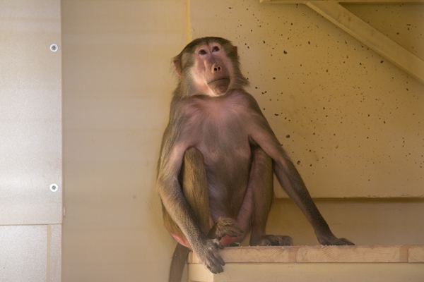 Фото: Марат Мугинов/kzn.ru