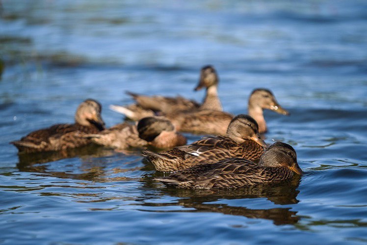 Фото: nataliafishmanbekmambetova/instagram.com