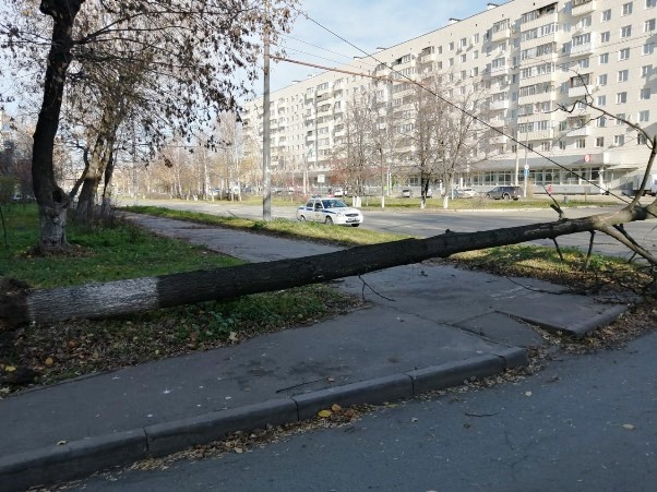 Фото: соцсети