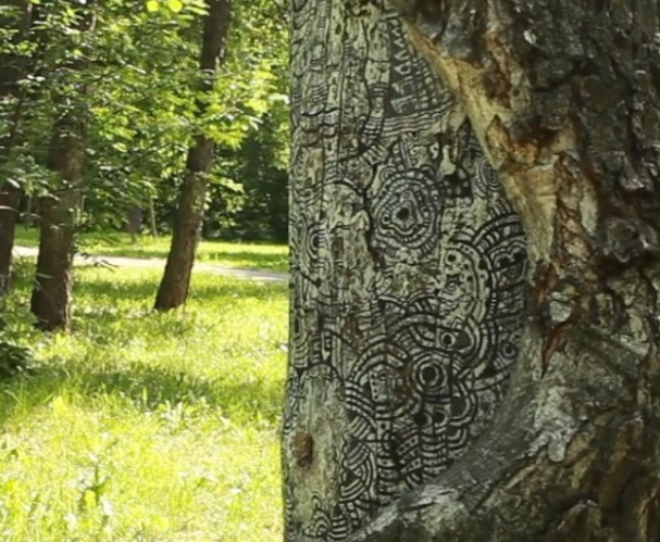 Фото: mash/vk.com