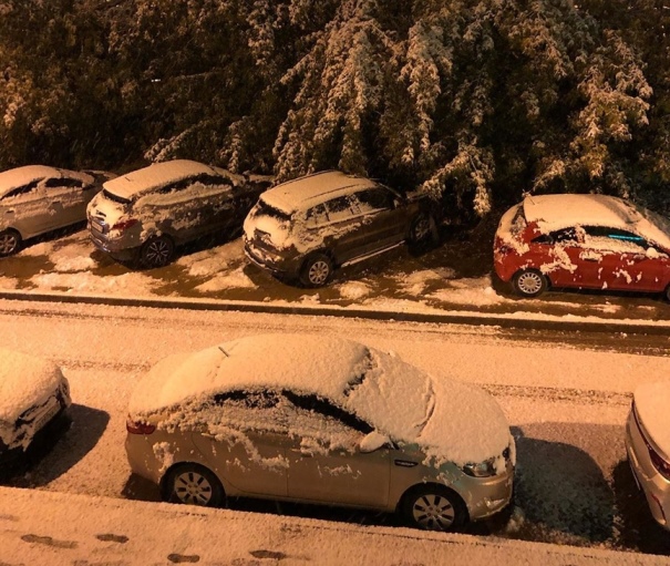 Фото: соцсети