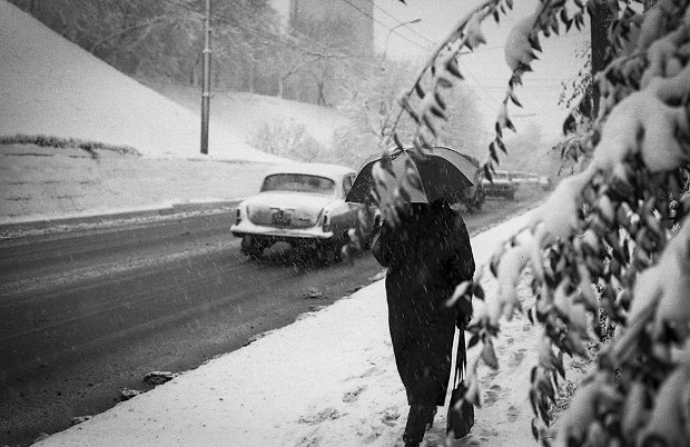 Фото: Евгений Канаев