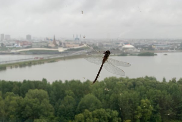 Фото: e-Kazan.ru