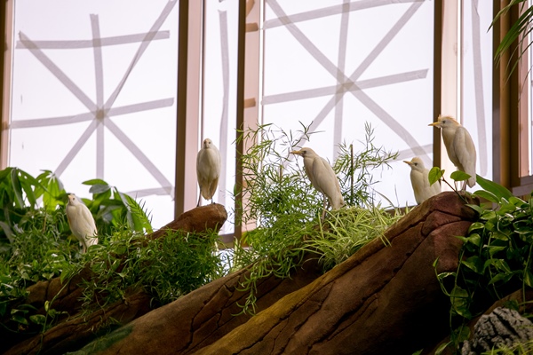 Фото: Марат Мугинов/kzn.ru